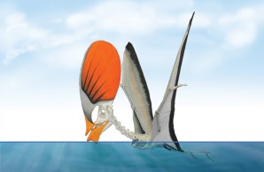 Tapejara wellnhoferi Tapejara wellnhoferi