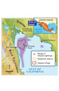 vaquite map