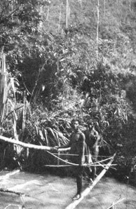 primitive bridge primitive bridge