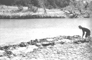 Paluxy River ancient mudflat