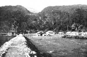 New Guinea