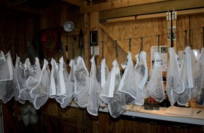owls in mesh bags