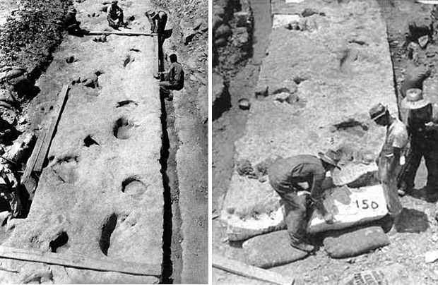 removing slab of dinosaur tracks
